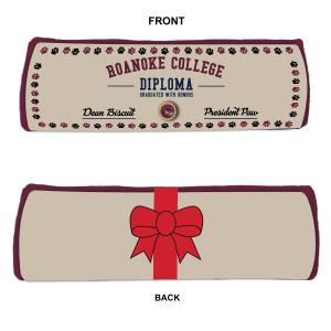 Image of Diploma Dog Toy All-Star